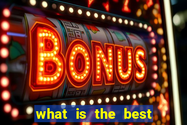 what is the best bingo site