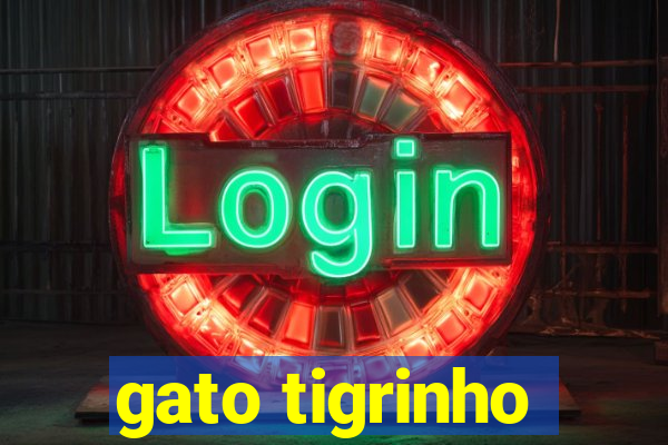 gato tigrinho