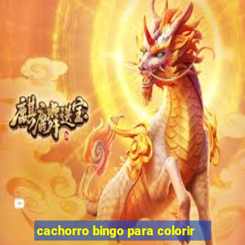 cachorro bingo para colorir