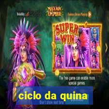 ciclo da quina