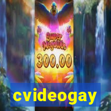 cvideogay