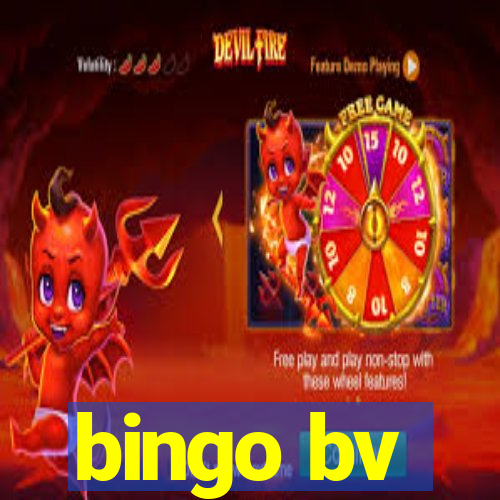 bingo bv