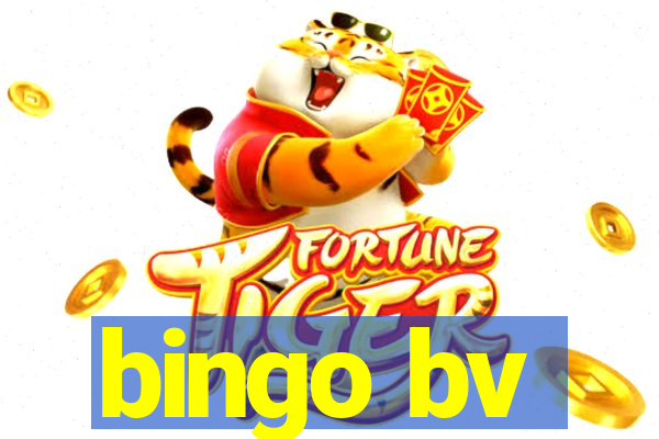 bingo bv