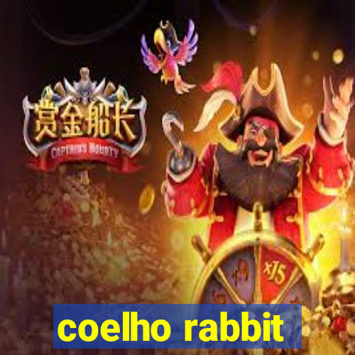 coelho rabbit