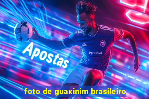 foto de guaxinim brasileiro