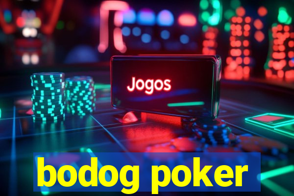 bodog poker