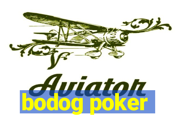 bodog poker