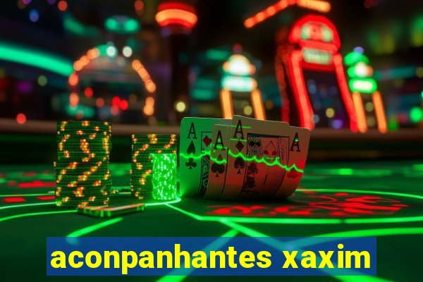 aconpanhantes xaxim