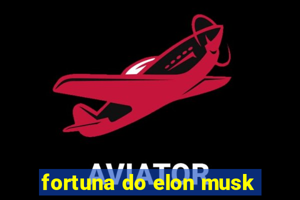 fortuna do elon musk