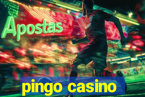 pingo casino