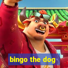 bingo the dog