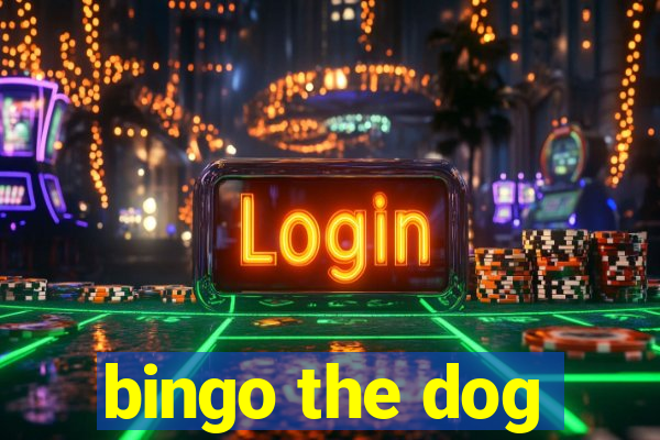 bingo the dog