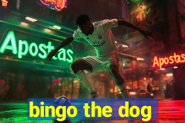 bingo the dog