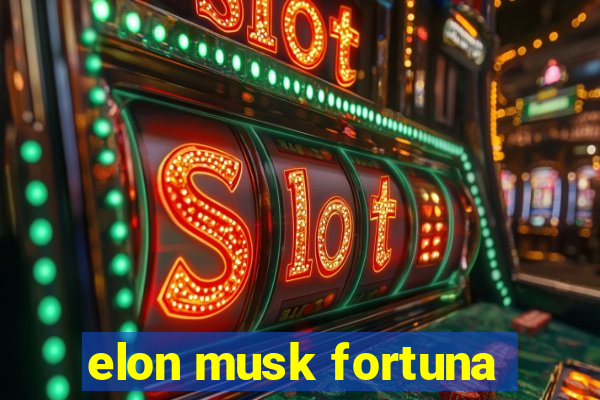 elon musk fortuna