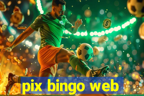 pix bingo web