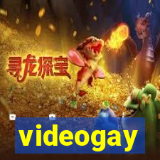 videogay