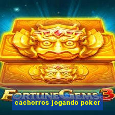 cachorros jogando poker