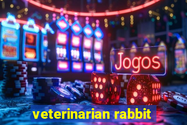 veterinarian rabbit