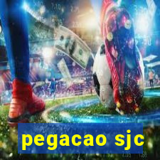 pegacao sjc