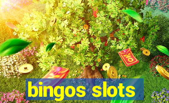 bingos slots