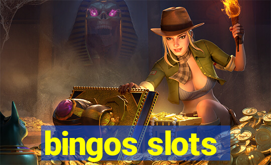 bingos slots