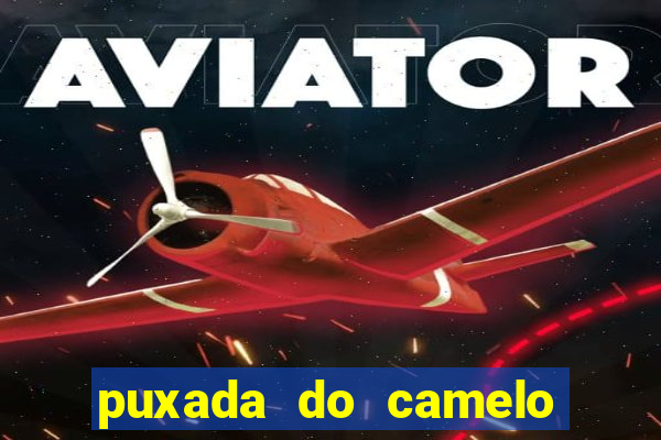 puxada do camelo no jogo do bicho