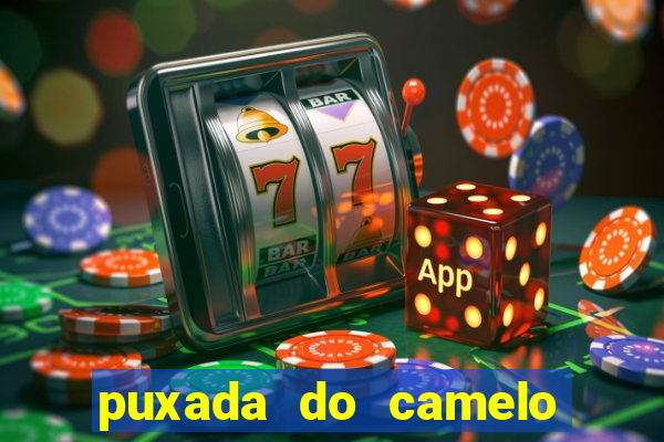 puxada do camelo no jogo do bicho