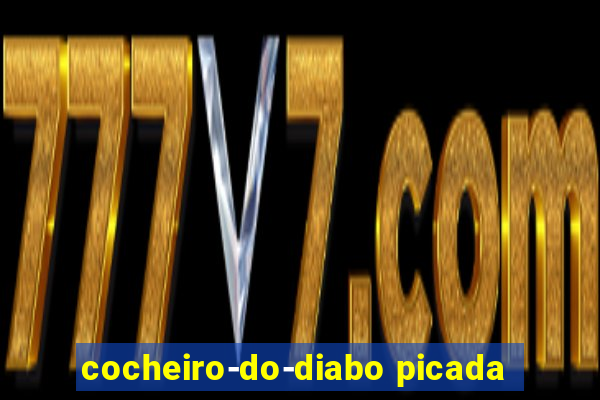 cocheiro-do-diabo picada