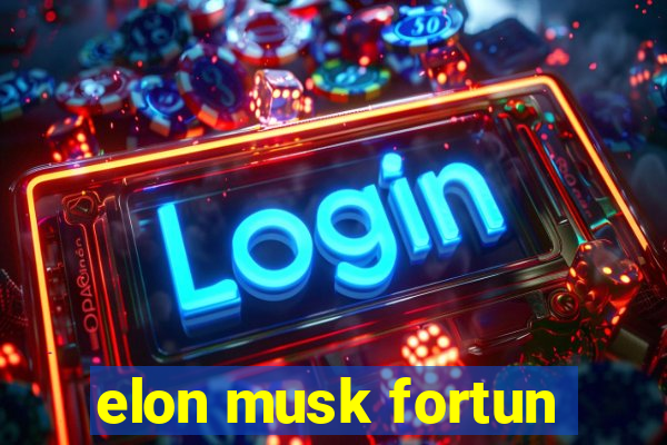 elon musk fortun