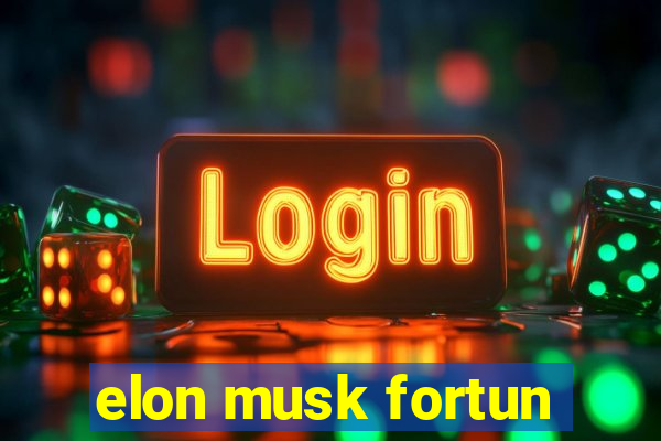 elon musk fortun