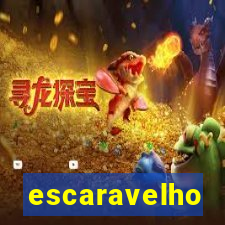 escaravelho significado espiritual