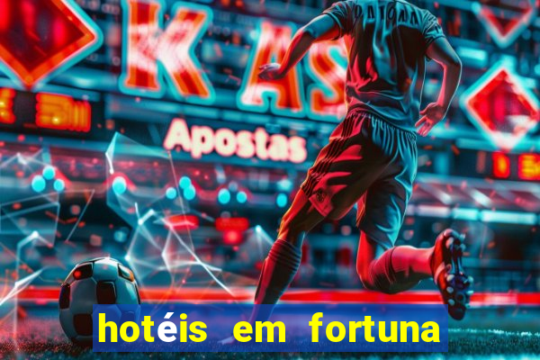 hotéis em fortuna de minas