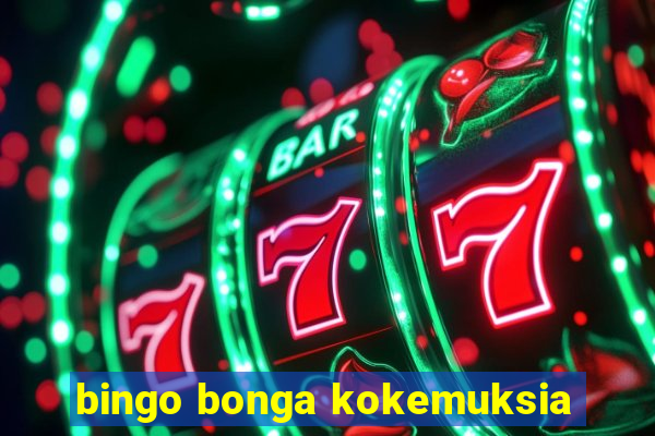 bingo bonga kokemuksia