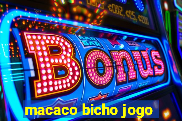 macaco bicho jogo