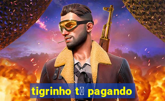 tigrinho t谩 pagando