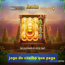 jogo do coelho que paga