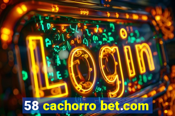 58 cachorro bet.com