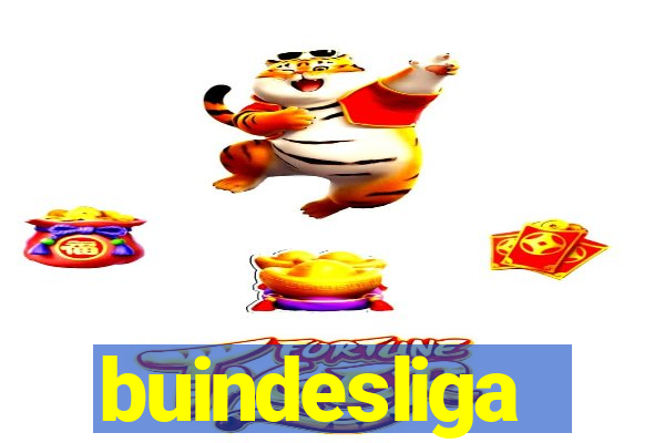 buindesliga