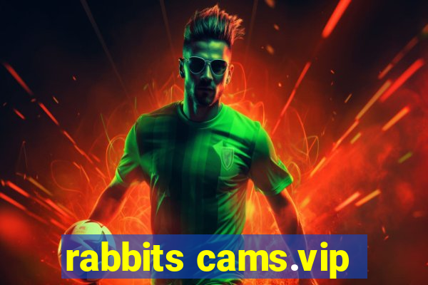 rabbits cams.vip