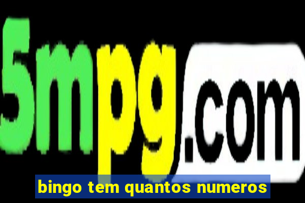 bingo tem quantos numeros