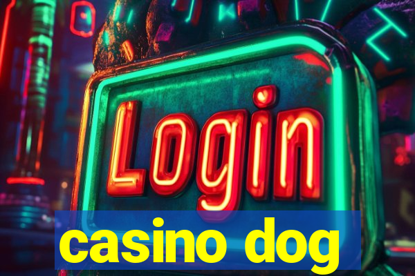 casino dog