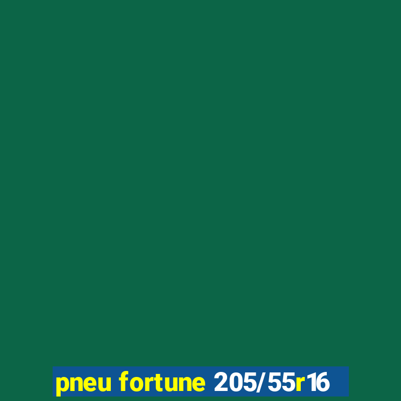 pneu fortune 205/55r16