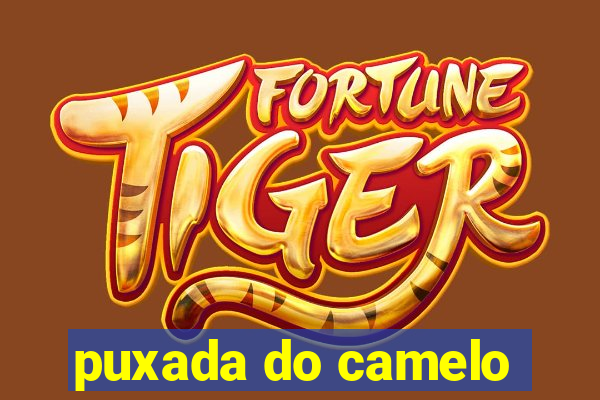 puxada do camelo