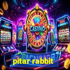 pitar rabbit