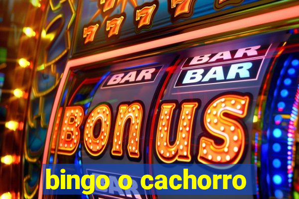 bingo o cachorro