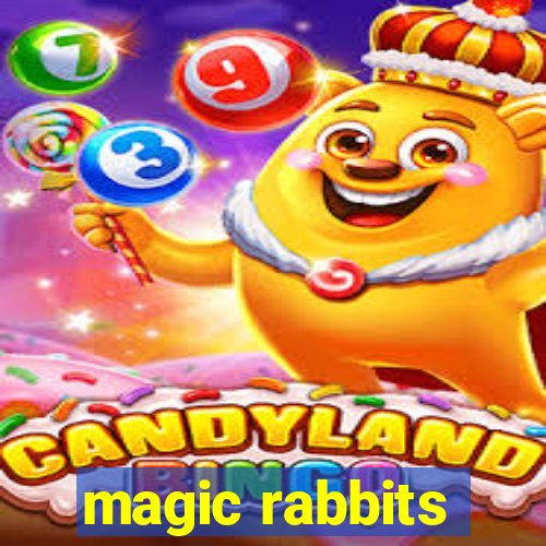 magic rabbits