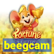 beegcam