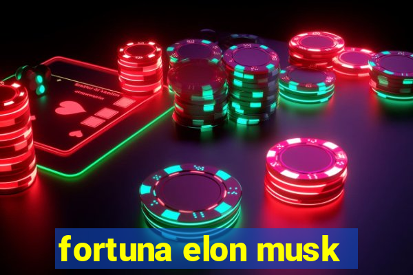 fortuna elon musk