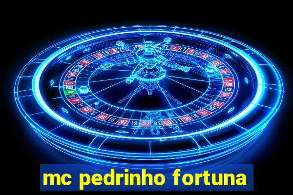 mc pedrinho fortuna