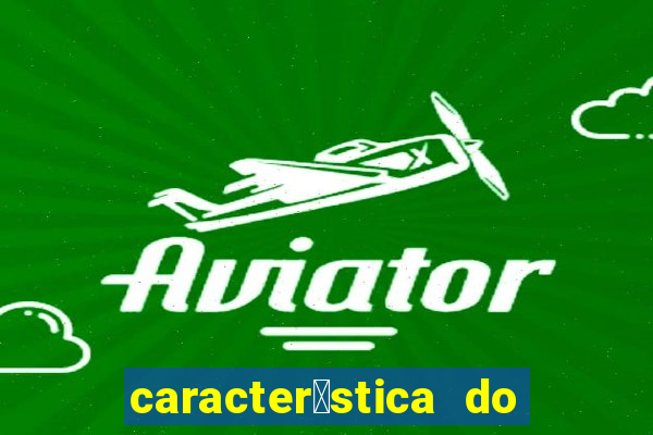 caracter铆stica do banquete real palavras cruzadas a pe莽a